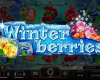 Winterberries